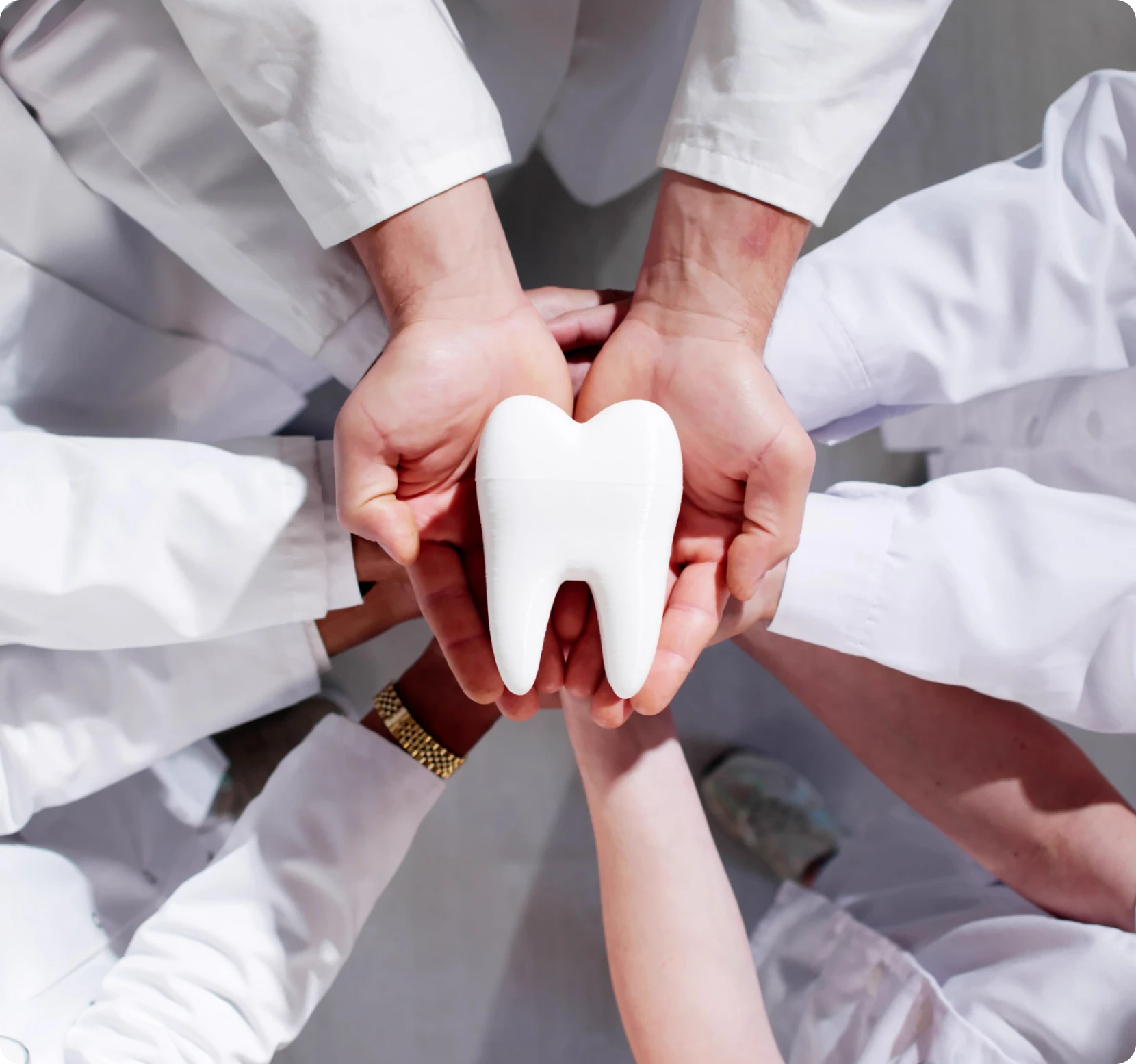 Hands holding a dental tooth figure